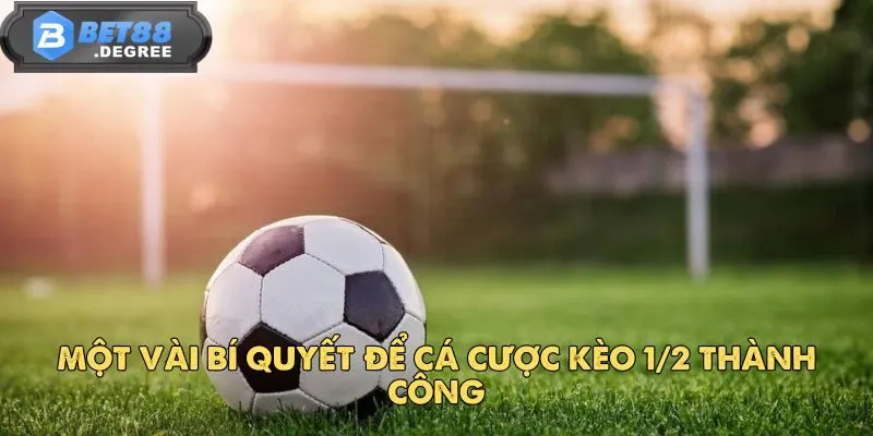 Kèo 1/2 - Tìm Hiểu Chi Tiết Về Loại Kèo Phổ Biến Này 5 Một vài bí quyết để cá cược kèo 1/2 thành công