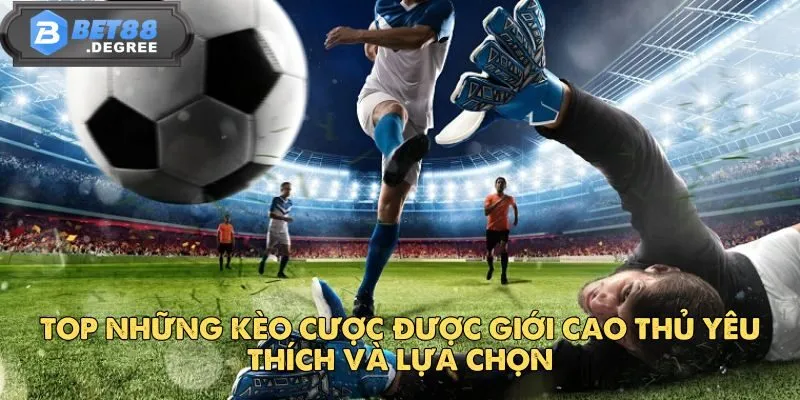 IM Thể Thao - Địa Điểm Cá Cược Hàng Đầu Tại Bet88 5 Top những kèo cược được giới cao thủ yêu thích và lựa chọn