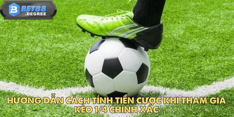 Kèo 1/4 – Lựa Chọn Cược Thông Minh Cho Tín Đồ Bóng Đá 4 Hướng dẫn cách tính tiền cược khi tham gia kèo 1/4 chính xác