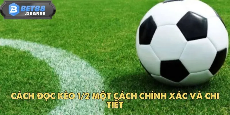 Kèo 1/2 - Tìm Hiểu Chi Tiết Về Loại Kèo Phổ Biến Này 4 Cách đọc kèo 1/2 một cách chính xác và chi tiết