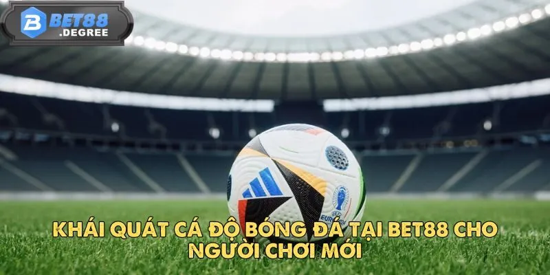Bóng Đá – Thế Giới Cá Cược Đỉnh Cao Của Môn Thể Thao Vua 2 Khái quát cá độ bóng đá tại BET88 cho người chơi mới