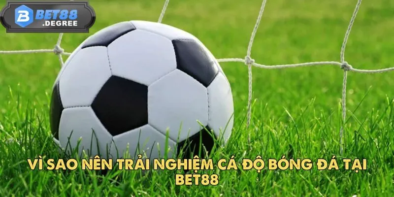 Bóng Đá – Thế Giới Cá Cược Đỉnh Cao Của Môn Thể Thao Vua 3 Vì sao nên trải nghiệm cá độ bóng đá tại BET88