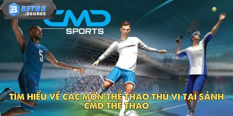 CMD Thể Thao – Nền Tảng Cá Cược Thể Thao Hàng Đầu 4 Tìm hiểu về các môn thể thao thú vị tại sảnh CMD Thể Thao