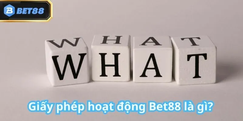 Giấy phép hoạt động