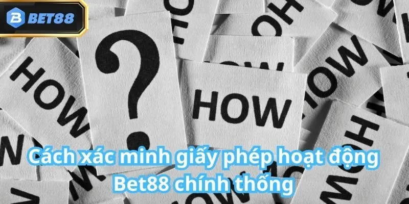 Giấy phép hoạt động