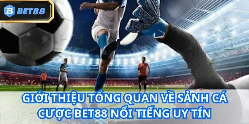 TRANG CHỦ 28 Giới thiệu tổng quan về sảnh cá cược Bet88 nổi tiếng uy tín