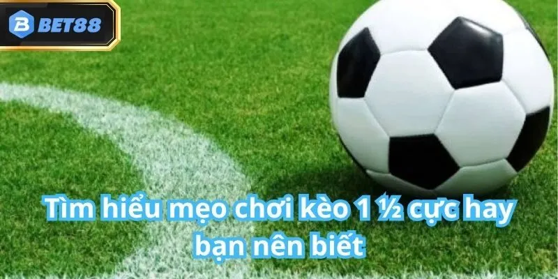 Kèo 1 1/2 Bet88 - Kèo Hot Nhất 2025 Tại Bet88 5 Kèo 1 1/2 Bet88 - Kèo Hot Nhất 2025 Tại Bet88