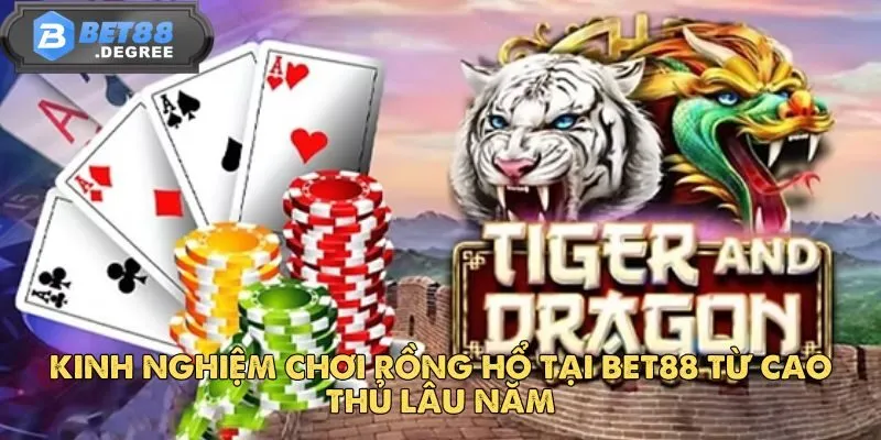 Rồng Hổ Bet88 – Trò Chơi Dễ Hiểu Và Căng Thẳng Từng Giây 4 Kinh nghiệm chơi Rồng Hổ tại BET88 từ cao thủ lâu năm