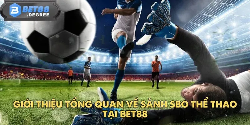 SBO Thể Thao – Điểm Đến Cá Cược Sôi Động Tại BET88 2 Giới thiệu tổng quan về sảnh SBO Thể Thao tại BET88